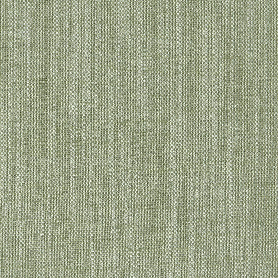 Biarritz fabric in parsley color - pattern F0965/36.CAC.0 - by Clarke And Clarke in the Clarke &amp; Clarke Biarritz collection