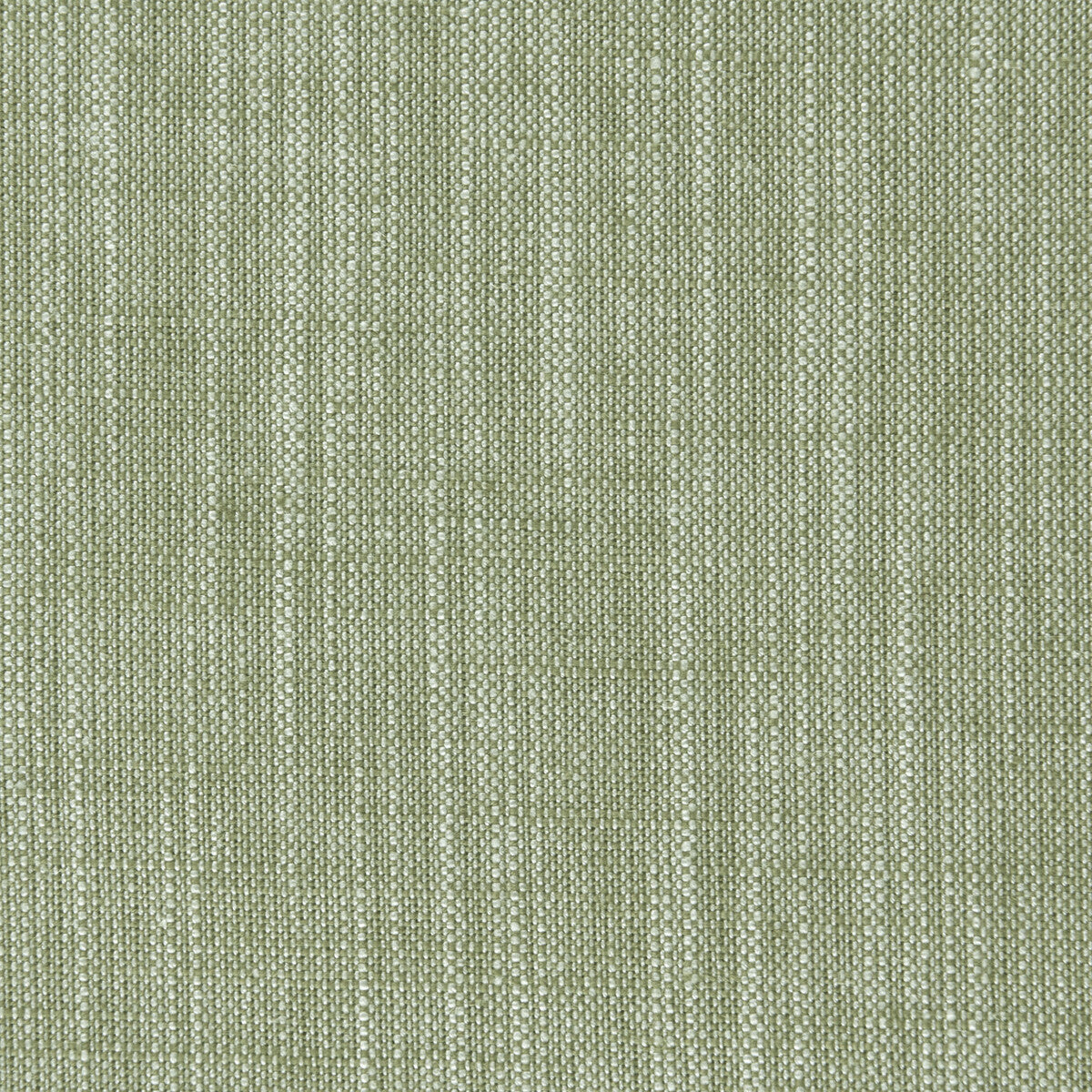 Biarritz fabric in parsley color - pattern F0965/36.CAC.0 - by Clarke And Clarke in the Clarke & Clarke Biarritz collection