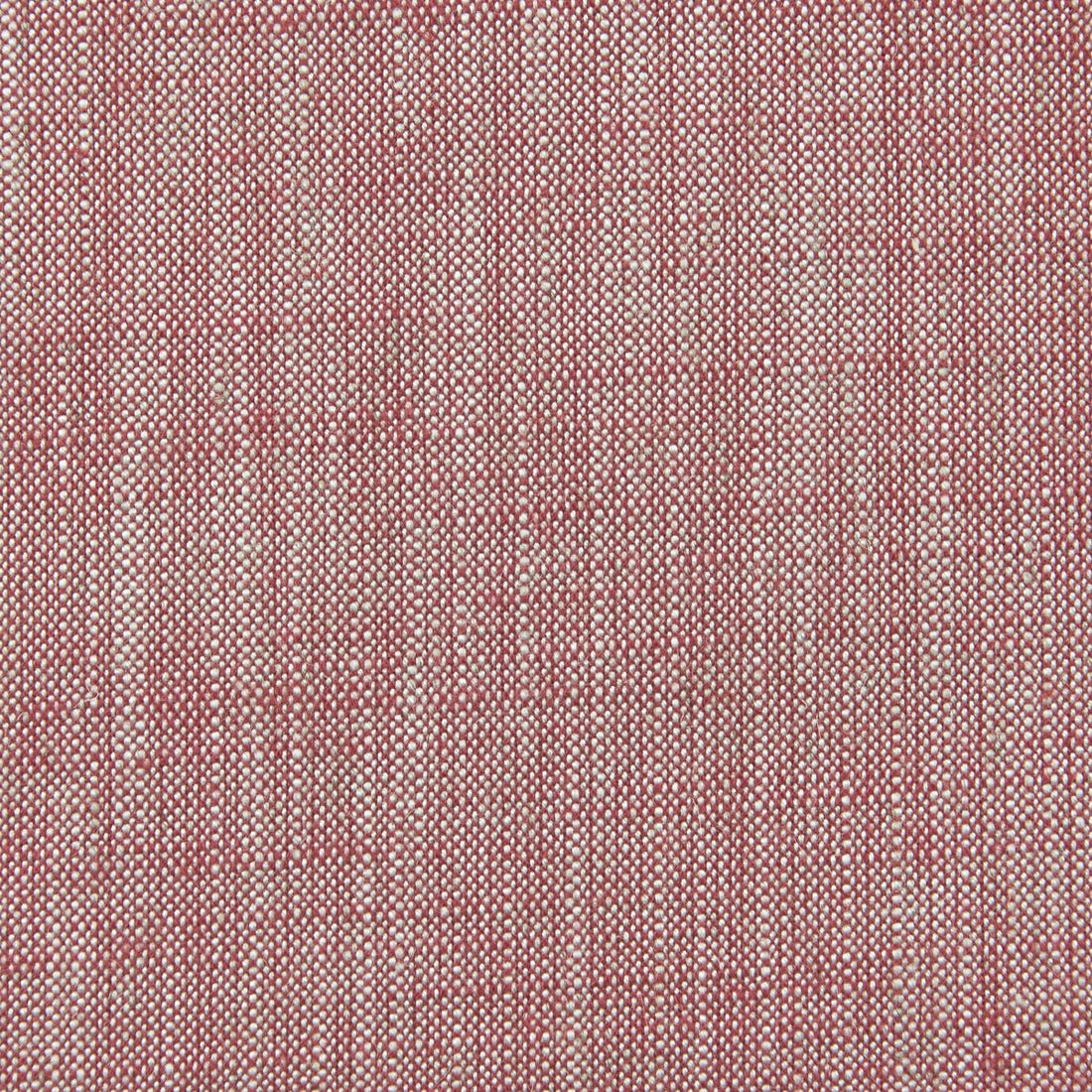 Biarritz fabric in raspberry color - pattern F0965/38.CAC.0 - by Clarke And Clarke in the Clarke &amp; Clarke Biarritz collection