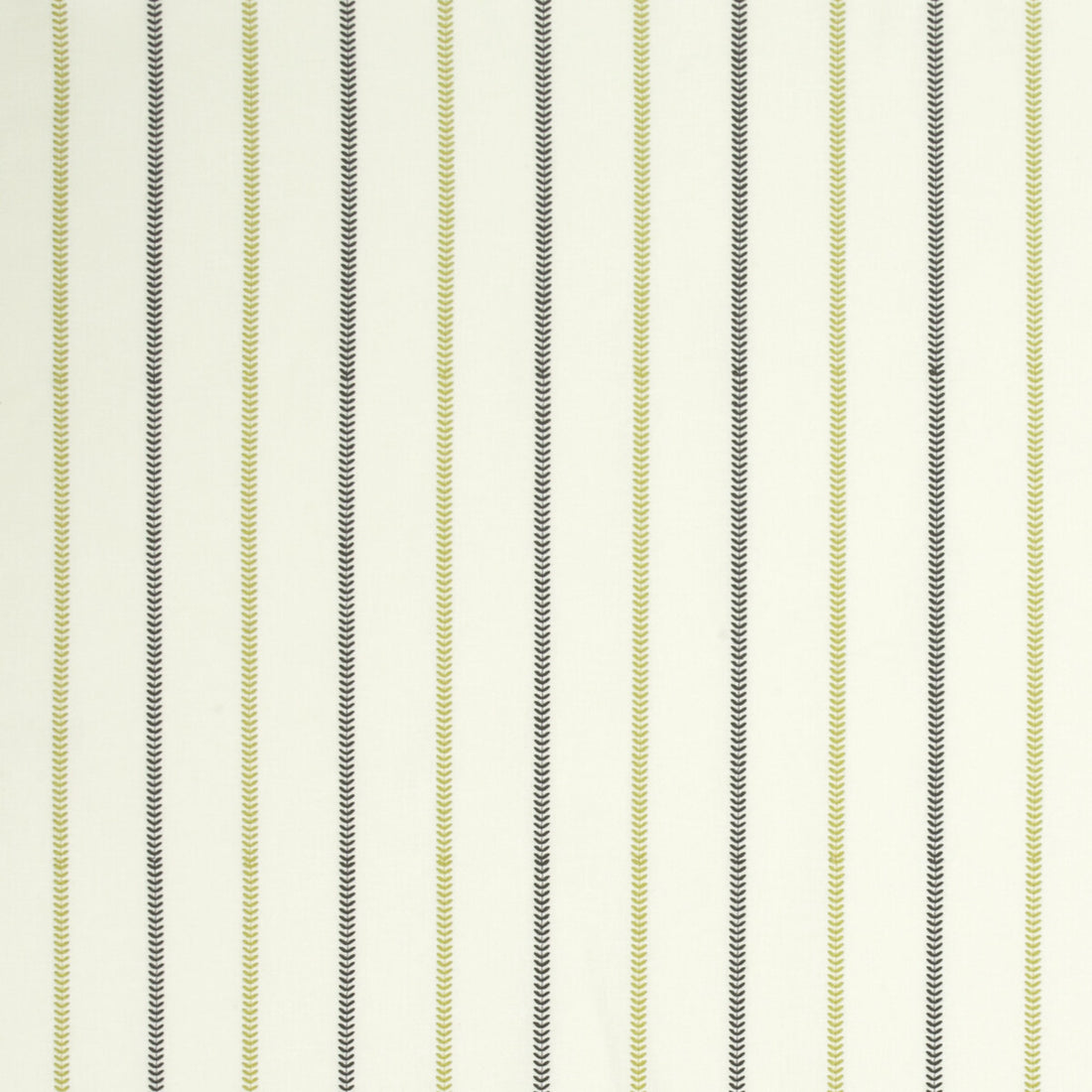 Enya fabric in chartreuse/charcoal color - pattern F0994/01.CAC.0 - by Clarke And Clarke in the Wilderness By Studio G For C&amp;C collection