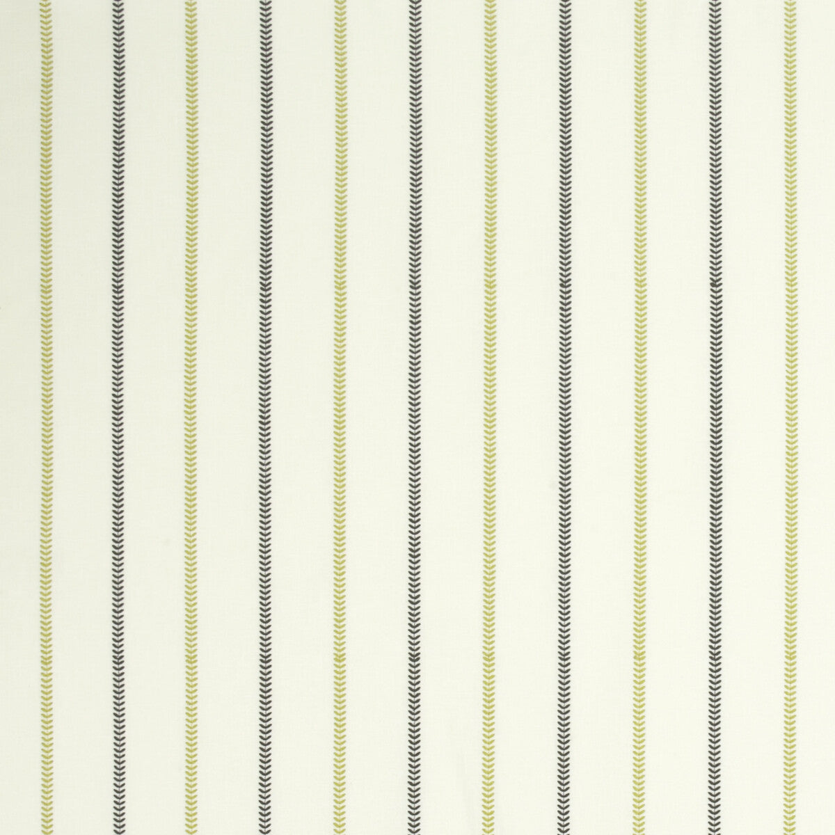 Enya fabric in chartreuse/charcoal color - pattern F0994/01.CAC.0 - by Clarke And Clarke in the Wilderness By Studio G For C&C collection