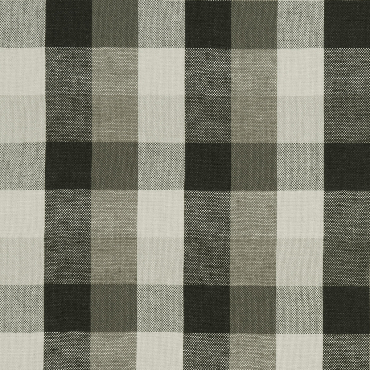 Austin Check fabric in charcoal color - pattern F1042/01.CAC.0 - by Clarke And Clarke in the Clarke & Clarke Castle Garden collection