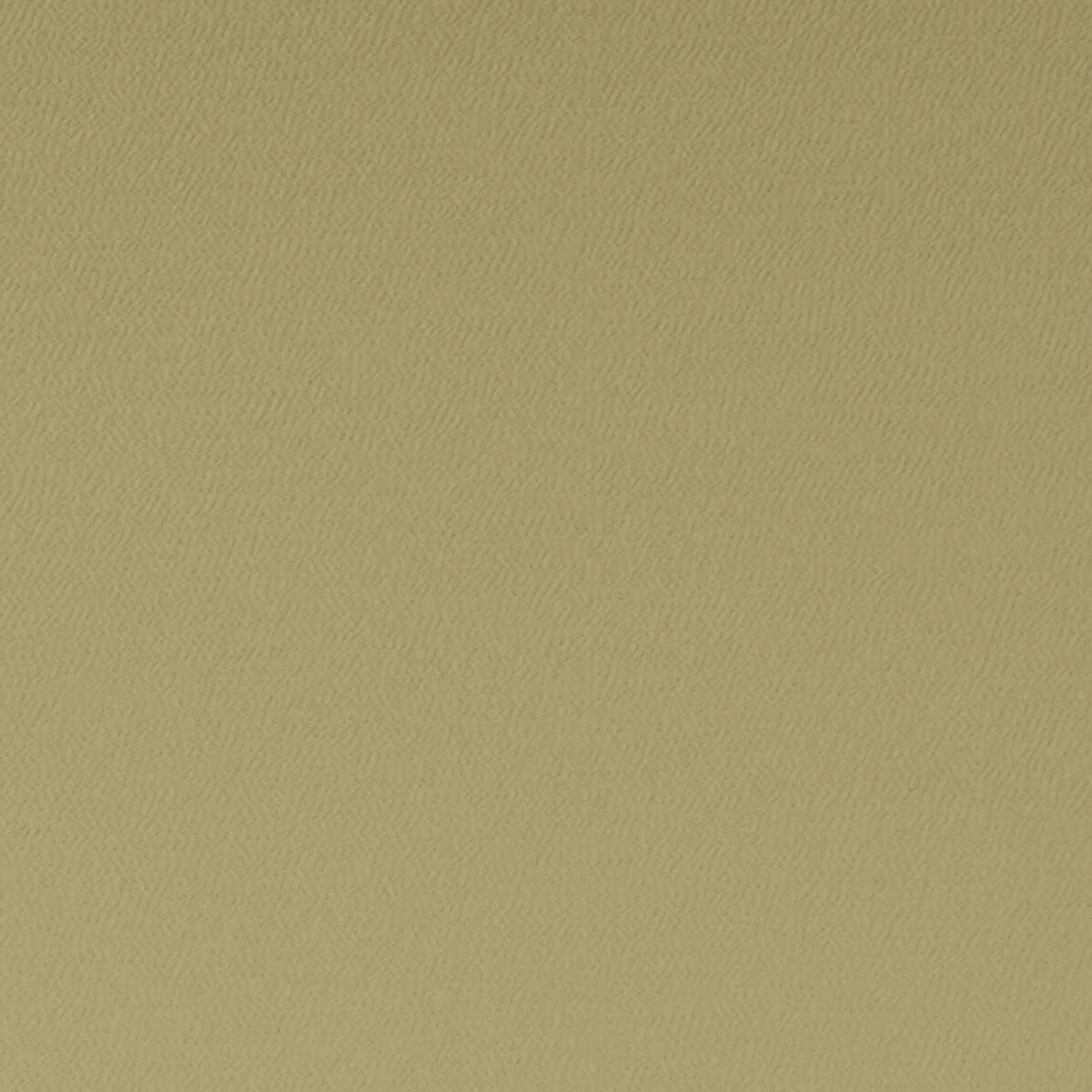 Spectrum fabric in antique color - pattern F1062/01.CAC.0 - by Clarke And Clarke in the Clarke & Clarke Spectrum collection