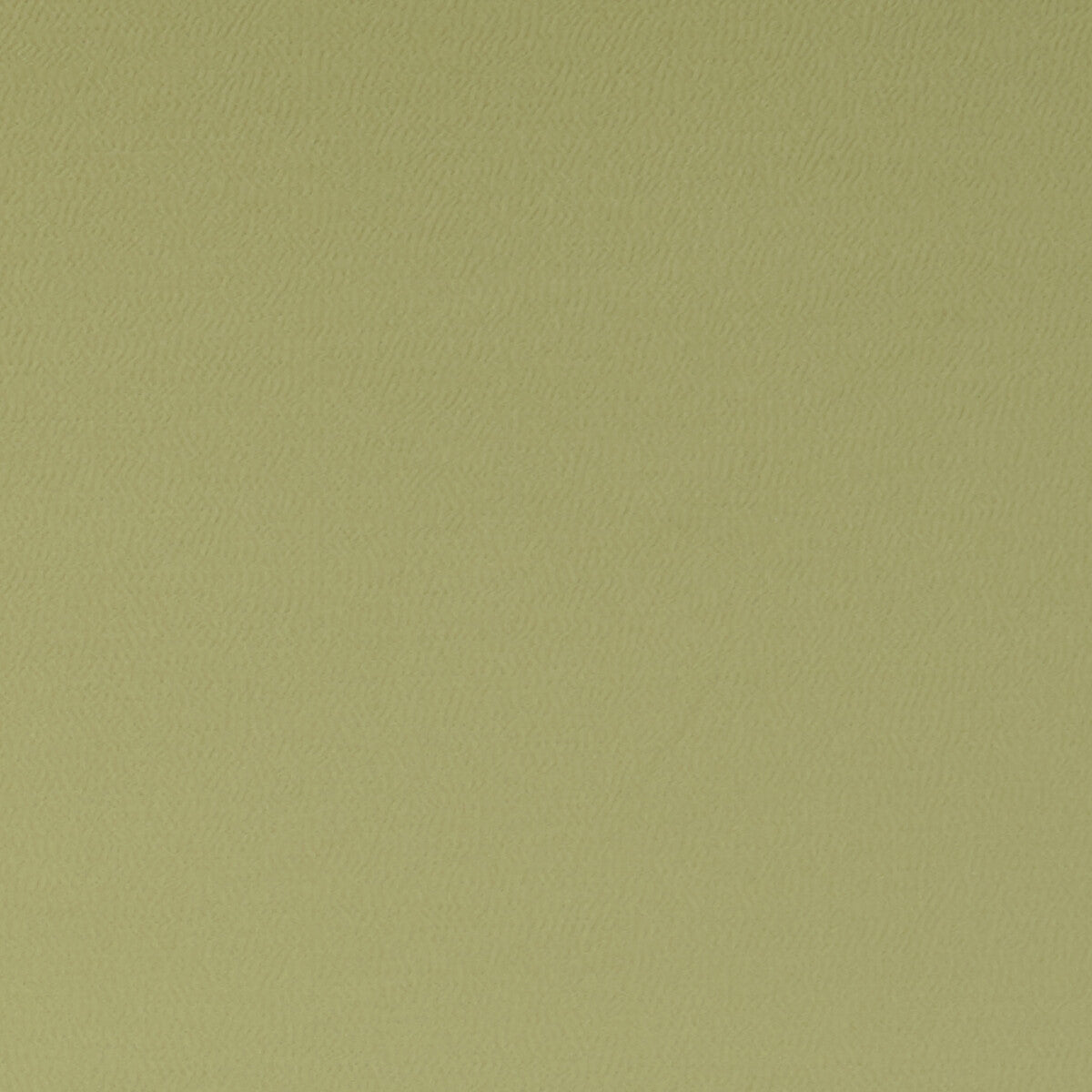 Spectrum fabric in chameleon color - pattern F1062/04.CAC.0 - by Clarke And Clarke in the Clarke & Clarke Spectrum collection