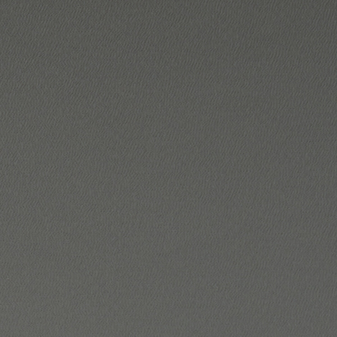 Spectrum fabric in charcoal color - pattern F1062/05.CAC.0 - by Clarke And Clarke in the Clarke &amp; Clarke Spectrum collection