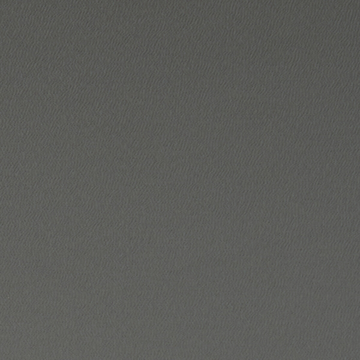 Spectrum fabric in charcoal color - pattern F1062/05.CAC.0 - by Clarke And Clarke in the Clarke & Clarke Spectrum collection