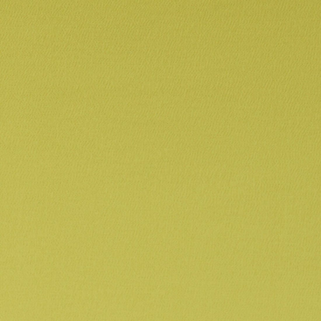 Spectrum fabric in chartreuse color - pattern F1062/06.CAC.0 - by Clarke And Clarke in the Clarke &amp; Clarke Spectrum collection