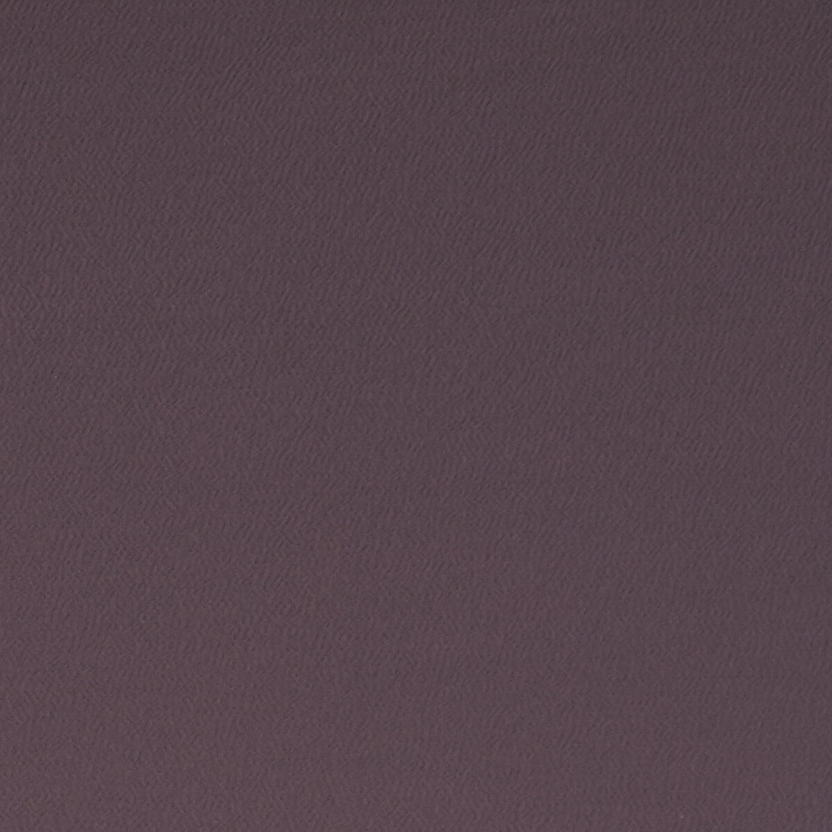 Spectrum fabric in damson color - pattern F1062/08.CAC.0 - by Clarke And Clarke in the Clarke & Clarke Spectrum collection