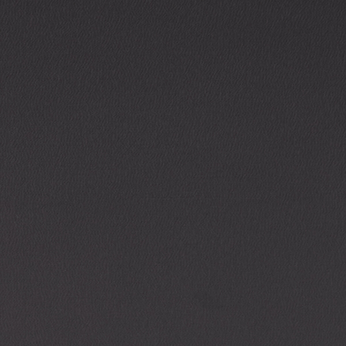 Spectrum fabric in ebony color - pattern F1062/13.CAC.0 - by Clarke And Clarke in the Clarke & Clarke Spectrum collection