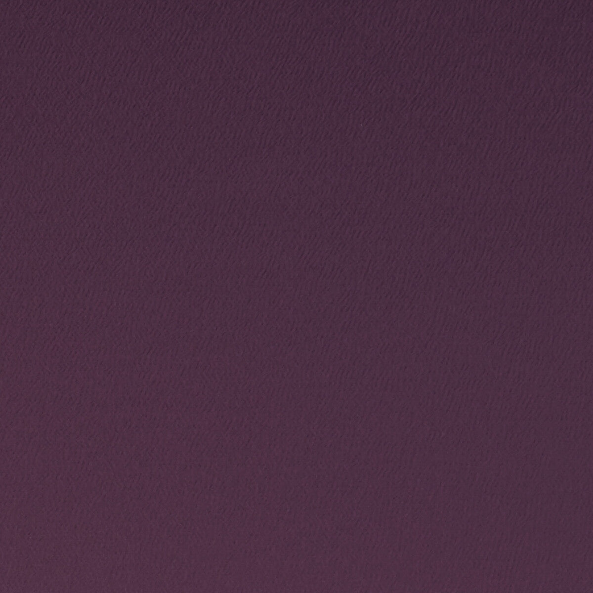 Spectrum fabric in grape color - pattern F1062/16.CAC.0 - by Clarke And Clarke in the Clarke & Clarke Spectrum collection