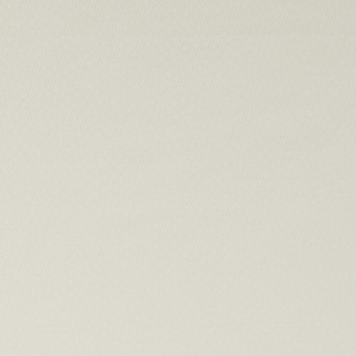 Spectrum fabric in ivory color - pattern F1062/17.CAC.0 - by Clarke And Clarke in the Clarke & Clarke Spectrum collection