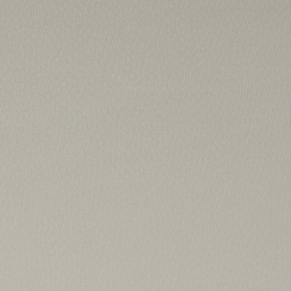 Spectrum fabric in mushroom color - pattern F1062/24.CAC.0 - by Clarke And Clarke in the Clarke & Clarke Spectrum collection