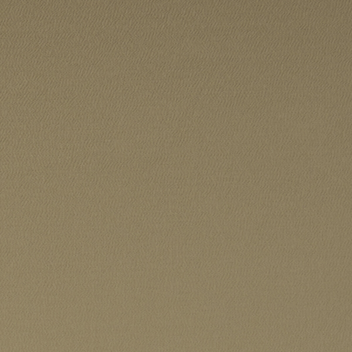 Spectrum fabric in pecan color - pattern F1062/29.CAC.0 - by Clarke And Clarke in the Clarke & Clarke Spectrum collection