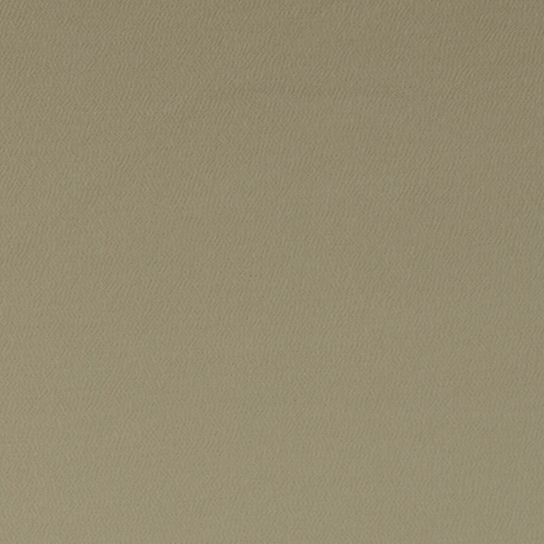 Spectrum fabric in sesame color - pattern F1062/37.CAC.0 - by Clarke And Clarke in the Clarke &amp; Clarke Spectrum collection