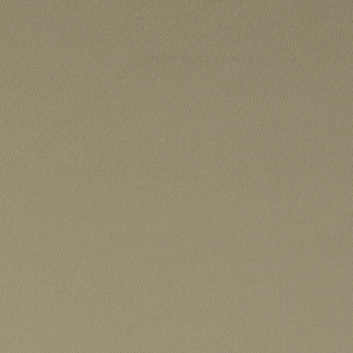 Spectrum fabric in sesame color - pattern F1062/37.CAC.0 - by Clarke And Clarke in the Clarke & Clarke Spectrum collection