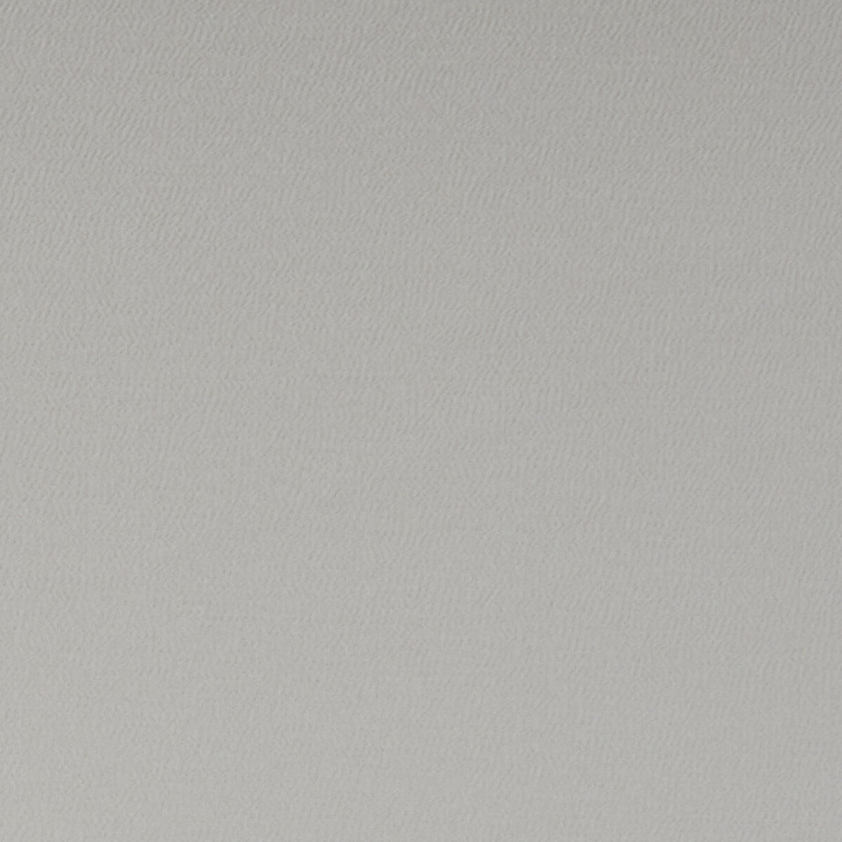 Spectrum fabric in silver color - pattern F1062/38.CAC.0 - by Clarke And Clarke in the Clarke & Clarke Spectrum collection