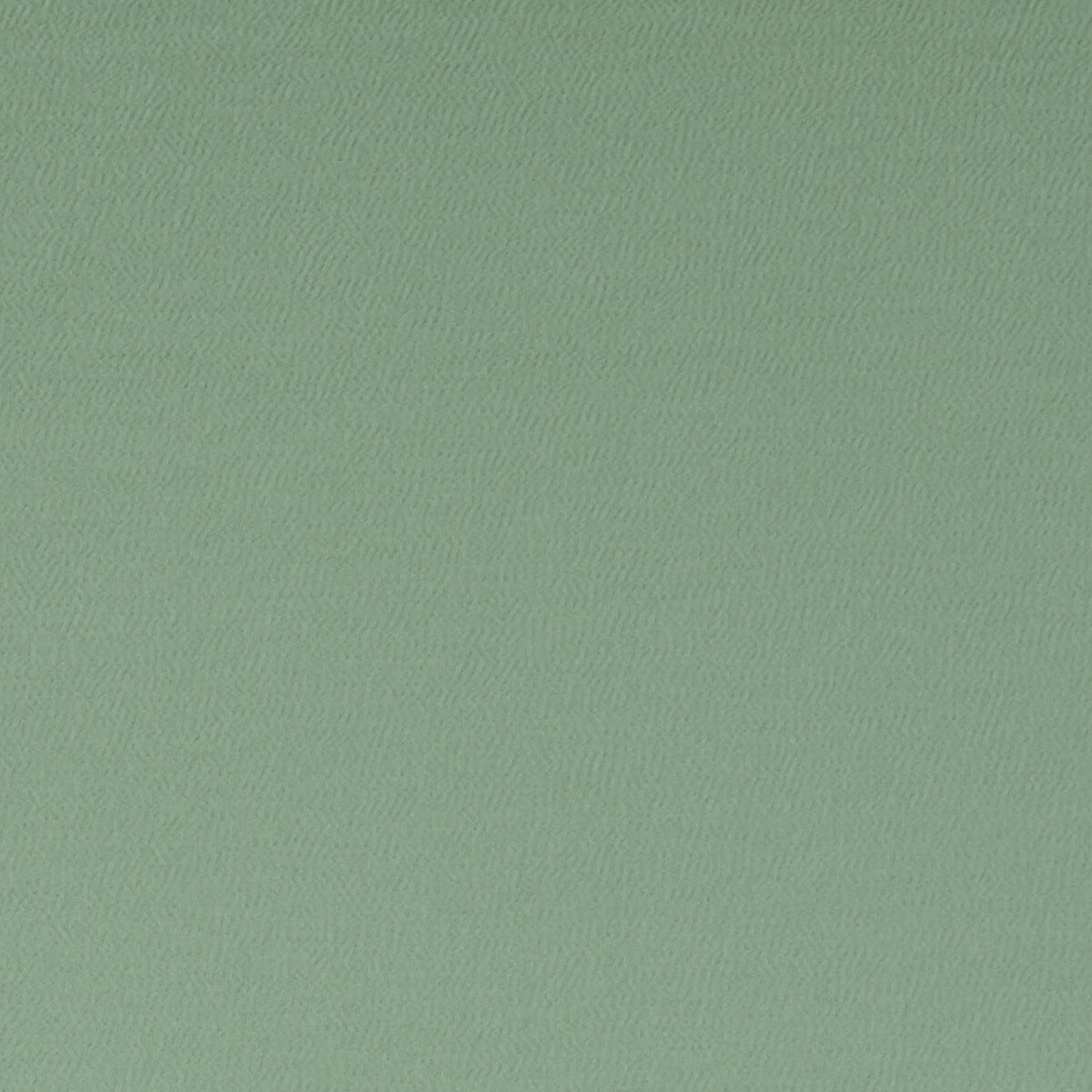 Spectrum fabric in thyme color - pattern F1062/42.CAC.0 - by Clarke And Clarke in the Clarke & Clarke Spectrum collection