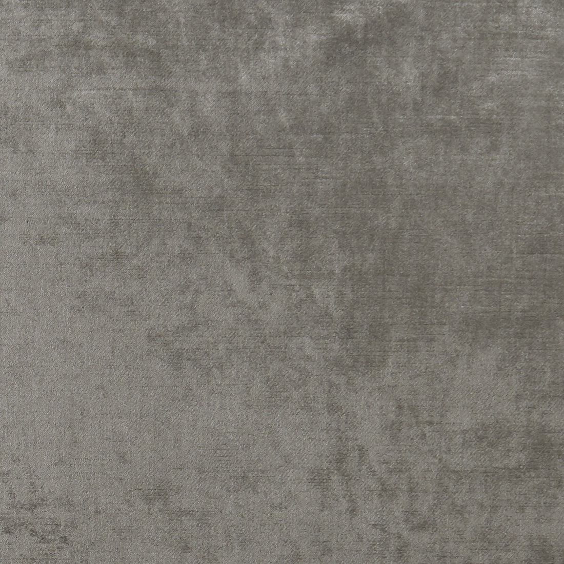 Allure fabric in ash color - pattern F1069/03.CAC.0 - by Clarke And Clarke in the Clarke &amp; Clarke Allure collection