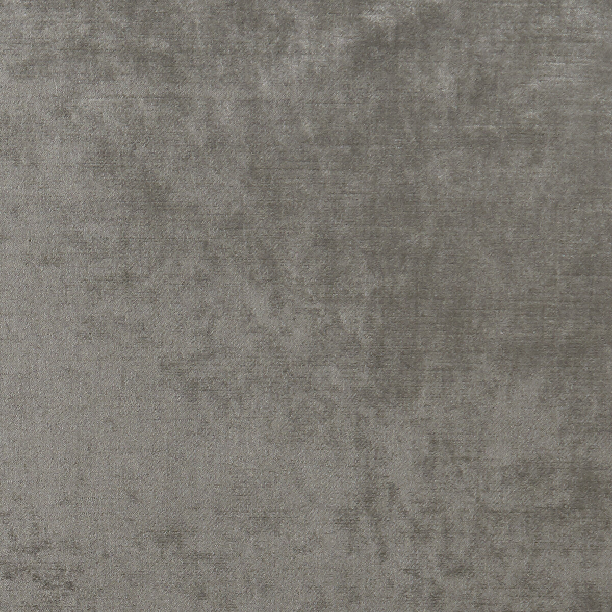 Allure fabric in ash color - pattern F1069/03.CAC.0 - by Clarke And Clarke in the Clarke & Clarke Allure collection