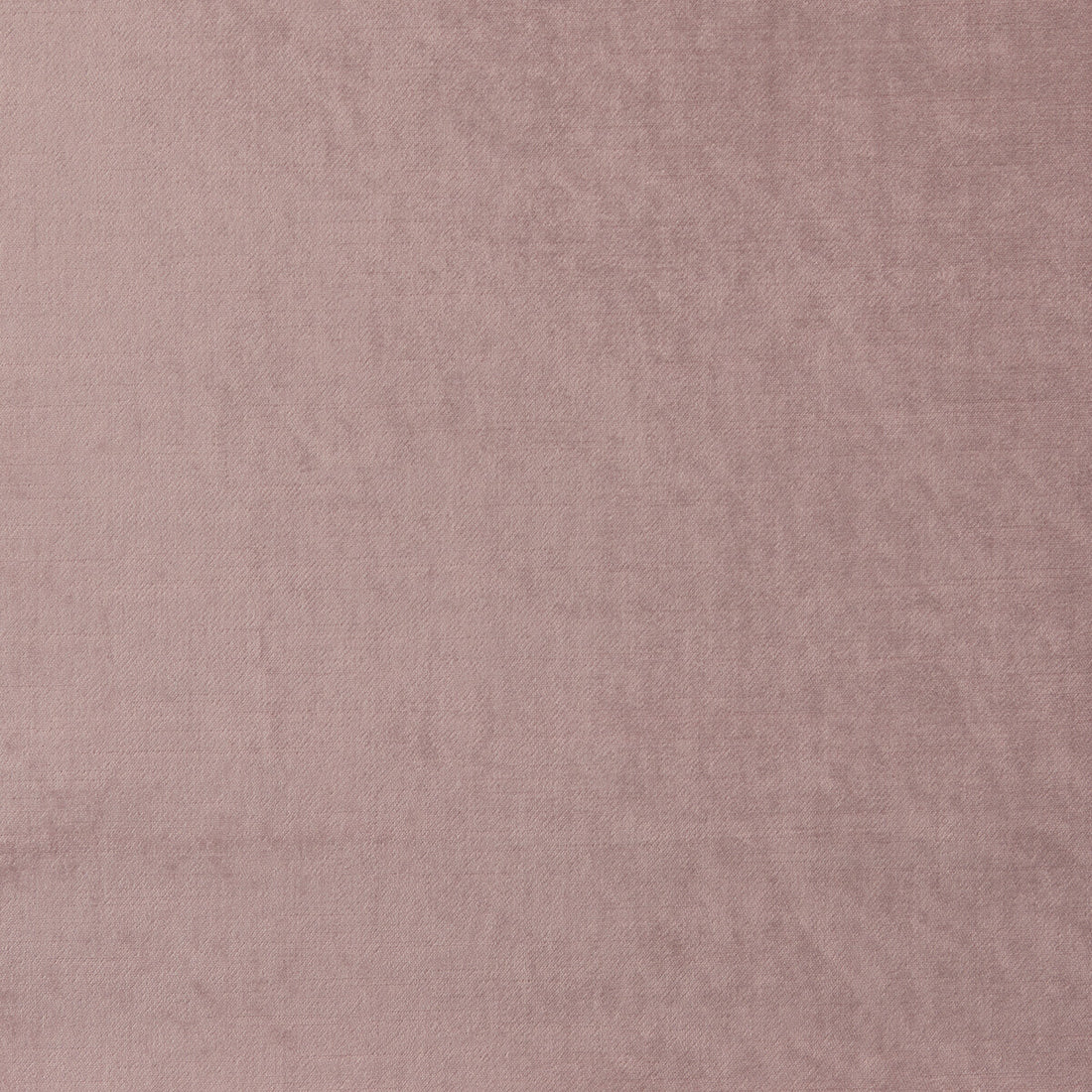 Allure fabric in blush color - pattern F1069/05.CAC.0 - by Clarke And Clarke in the Clarke &amp; Clarke Allure collection