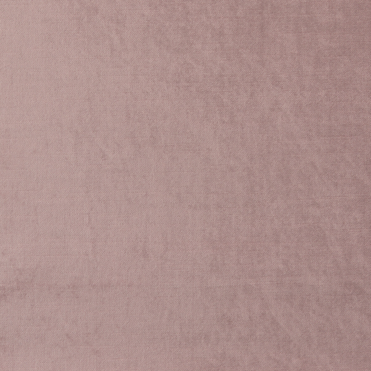 Allure fabric in blush color - pattern F1069/05.CAC.0 - by Clarke And Clarke in the Clarke & Clarke Allure collection