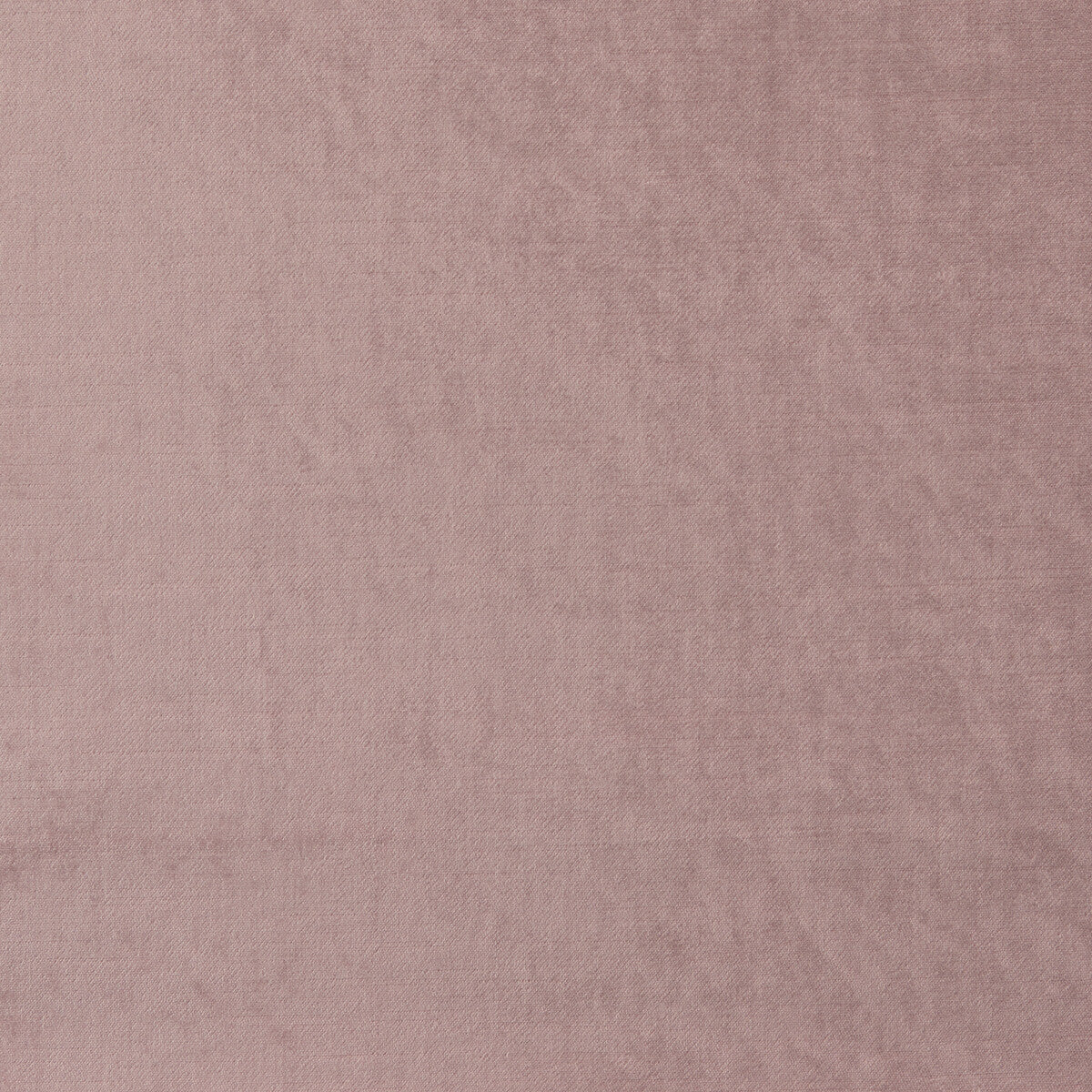 Allure fabric in blush color - pattern F1069/05.CAC.0 - by Clarke And Clarke in the Clarke &amp; Clarke Allure collection