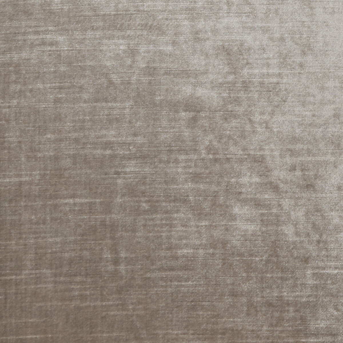 Allure fabric in dove color - pattern F1069/12.CAC.0 - by Clarke And Clarke in the Clarke & Clarke Allure collection