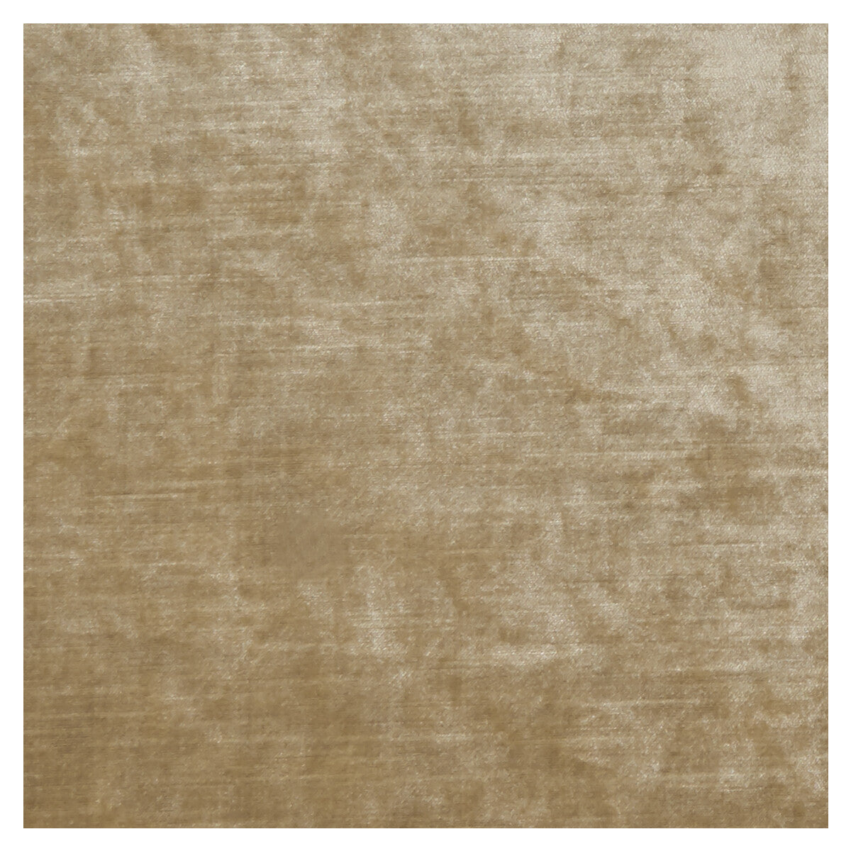 Allure fabric in dune color - pattern F1069/14.CAC.0 - by Clarke And Clarke in the Clarke & Clarke Allure collection