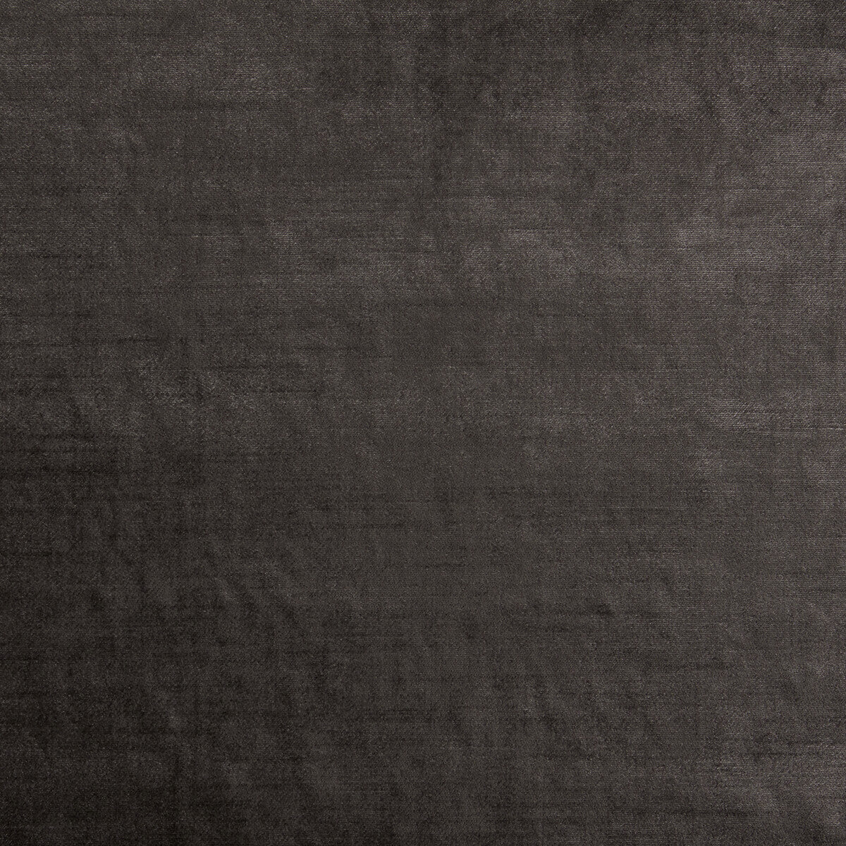 Allure fabric in espresso color - pattern F1069/15.CAC.0 - by Clarke And Clarke in the Clarke & Clarke Allure collection