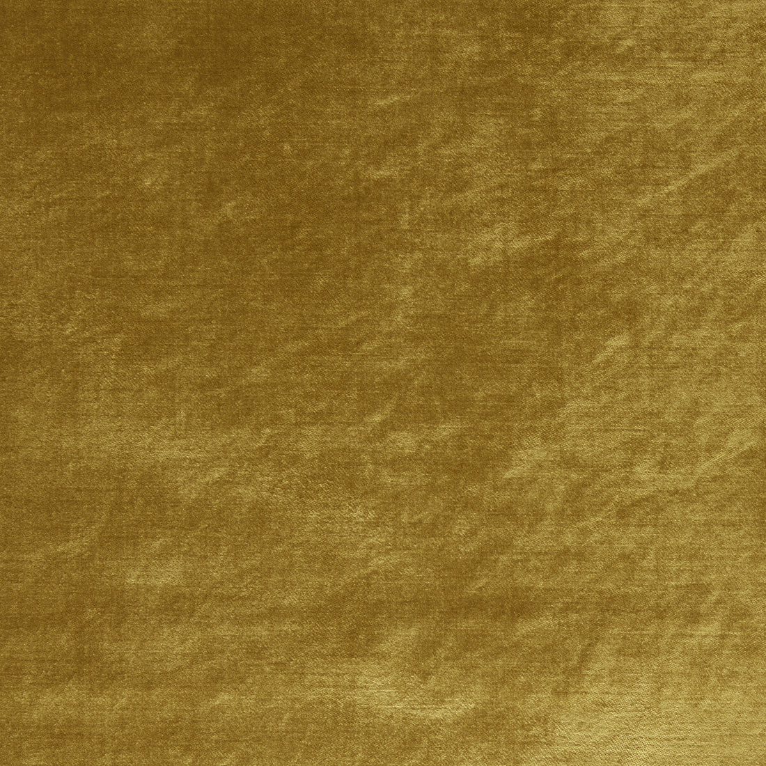 Allure fabric in gold color - pattern F1069/17.CAC.0 - by Clarke And Clarke in the Clarke &amp; Clarke Allure collection