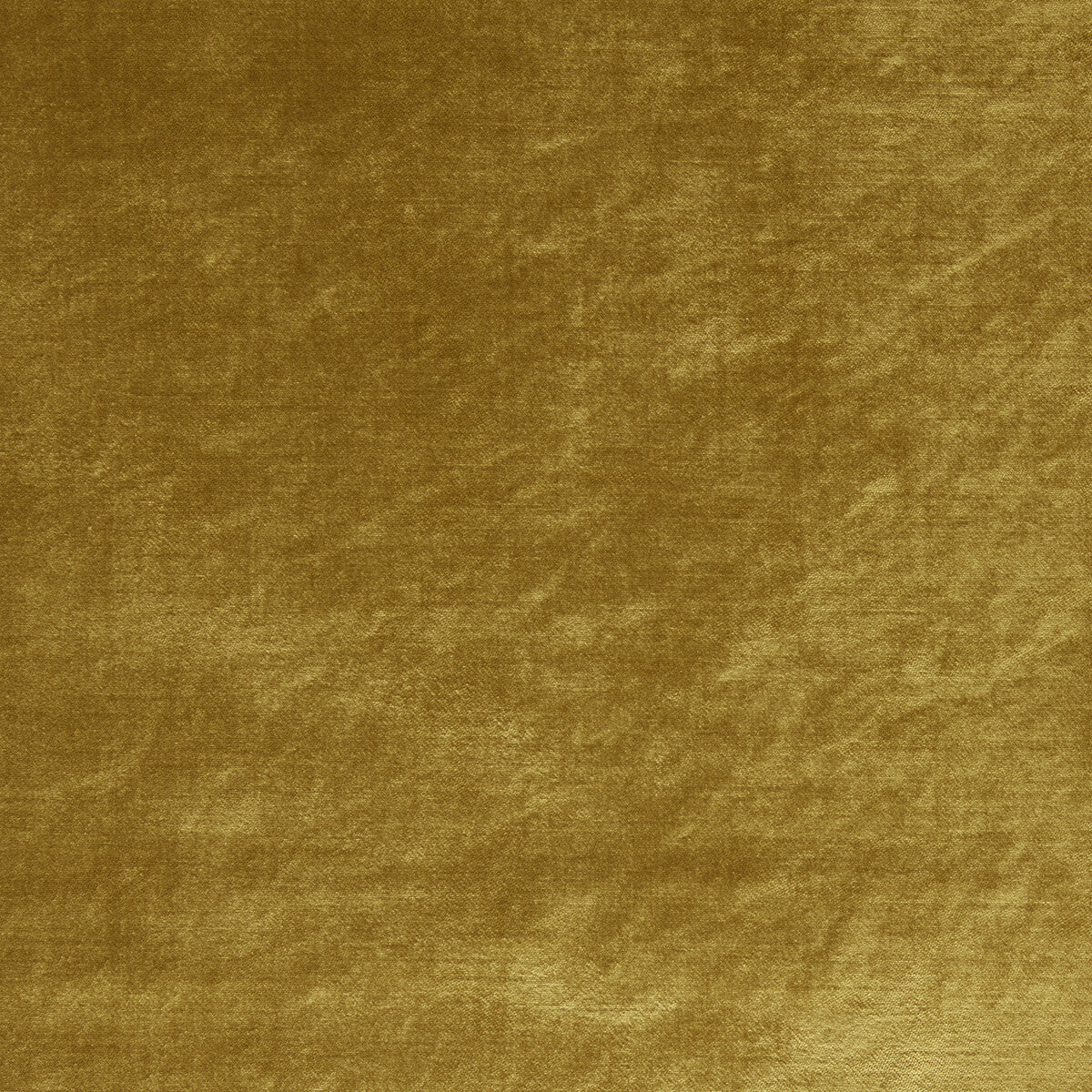 Allure fabric in gold color - pattern F1069/17.CAC.0 - by Clarke And Clarke in the Clarke & Clarke Allure collection
