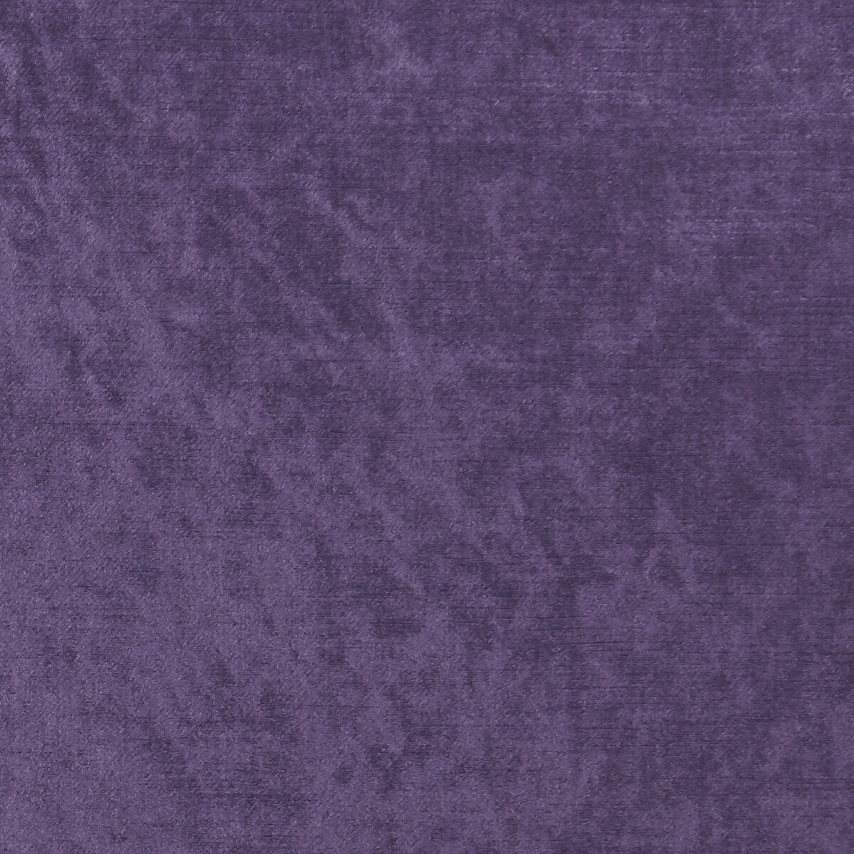 Allure fabric in grape color - pattern F1069/18.CAC.0 - by Clarke And Clarke in the Clarke & Clarke Allure collection
