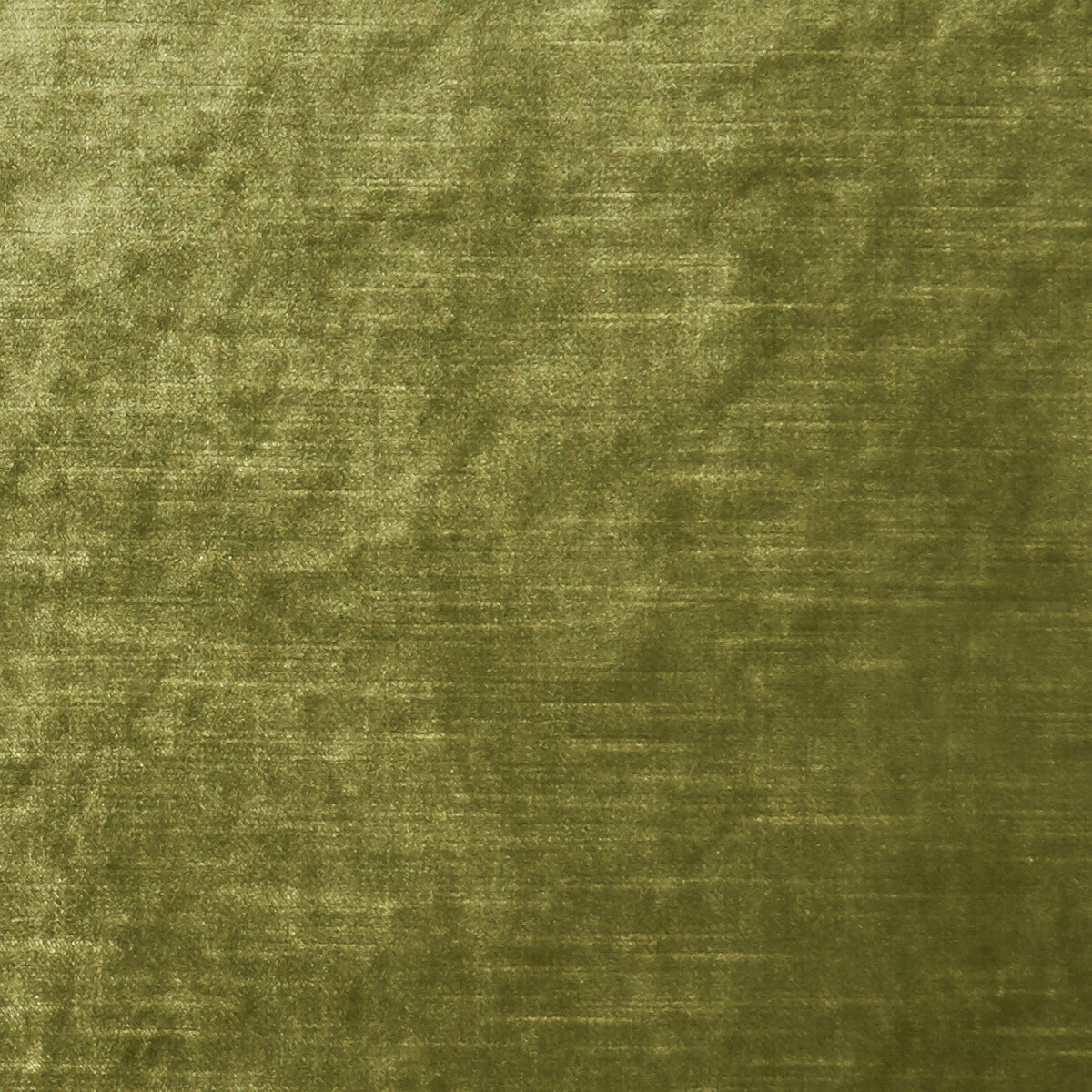 Allure fabric in moss color - pattern F1069/27.CAC.0 - by Clarke And Clarke in the Clarke & Clarke Allure collection