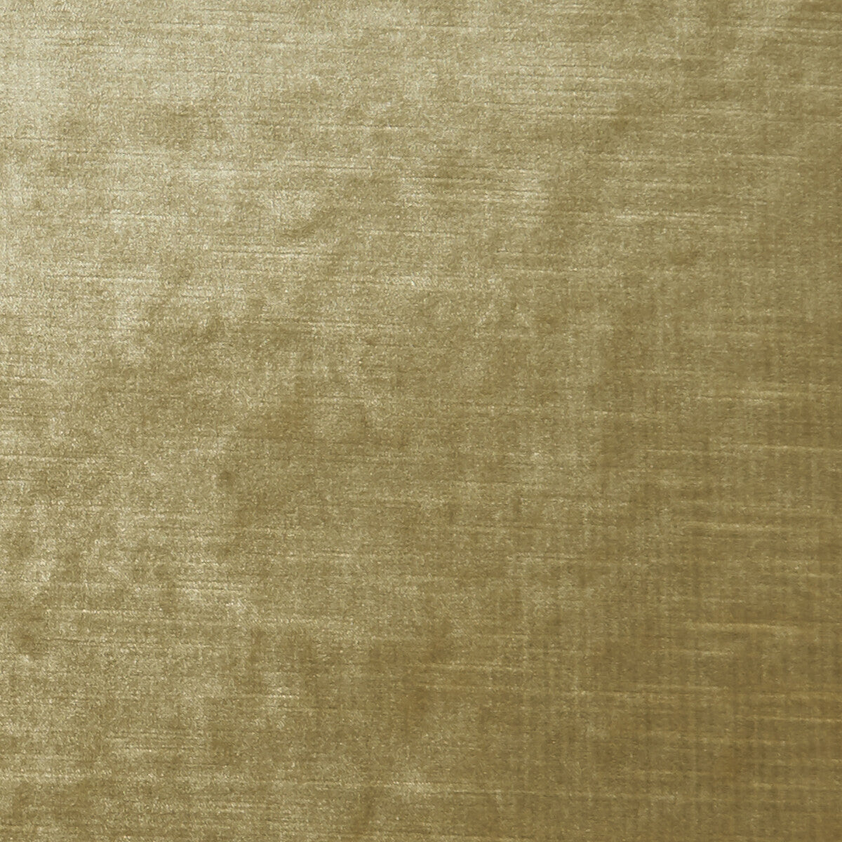 Allure fabric in sand color - pattern F1069/35.CAC.0 - by Clarke And Clarke in the Clarke & Clarke Allure collection