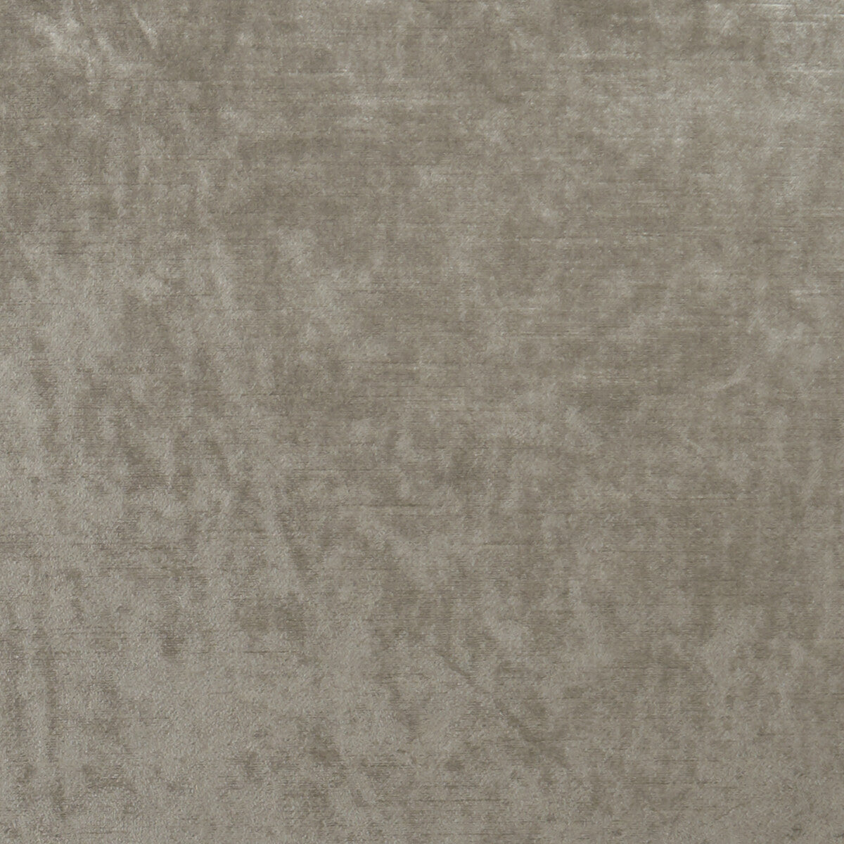 Allure fabric in taupe color - pattern F1069/39.CAC.0 - by Clarke And Clarke in the Clarke & Clarke Allure collection