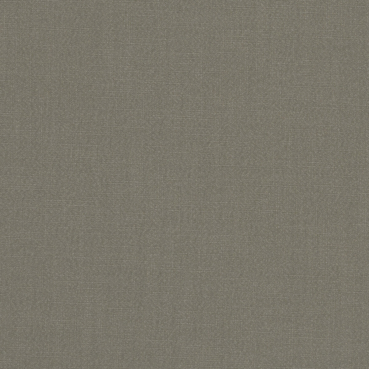 Hudson fabric in latte color - pattern F1076/17.CAC.0 - by Clarke And Clarke in the Clarke & Clarke Hudson collection