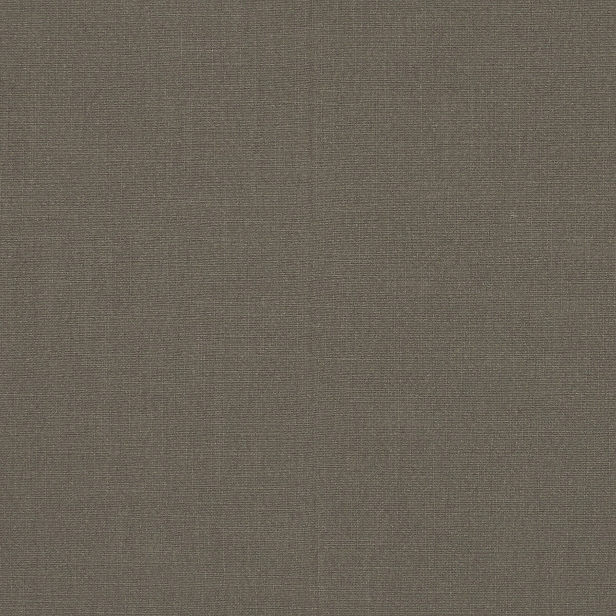 Hudson fabric in mocha color - pattern F1076/20.CAC.0 - by Clarke And Clarke in the Clarke & Clarke Hudson collection
