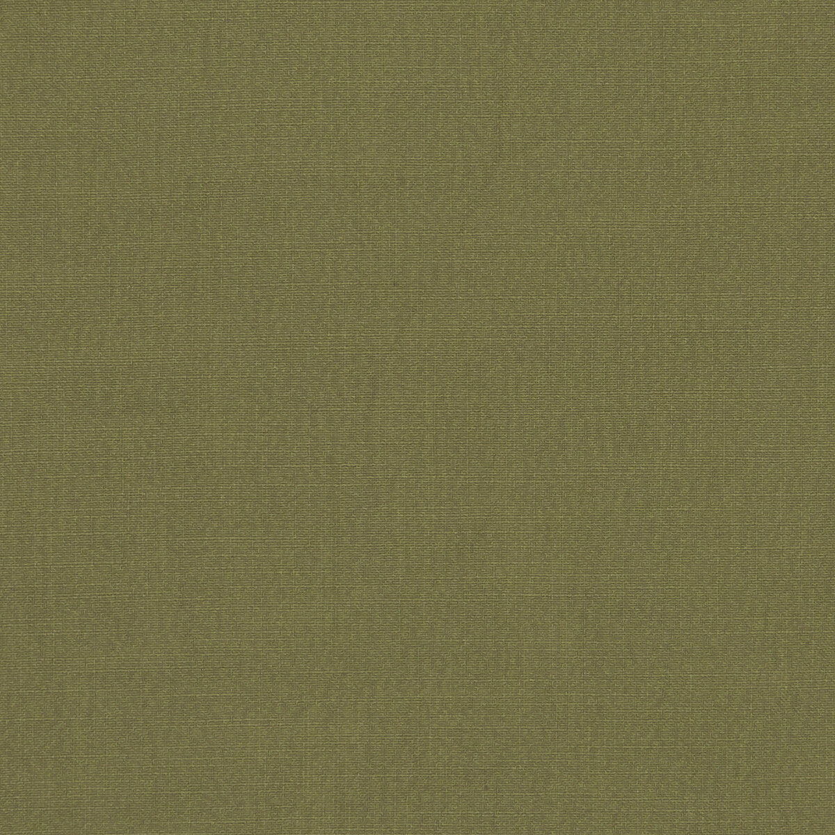 Hudson fabric in pesto color - pattern F1076/23.CAC.0 - by Clarke And Clarke in the Clarke & Clarke Hudson collection