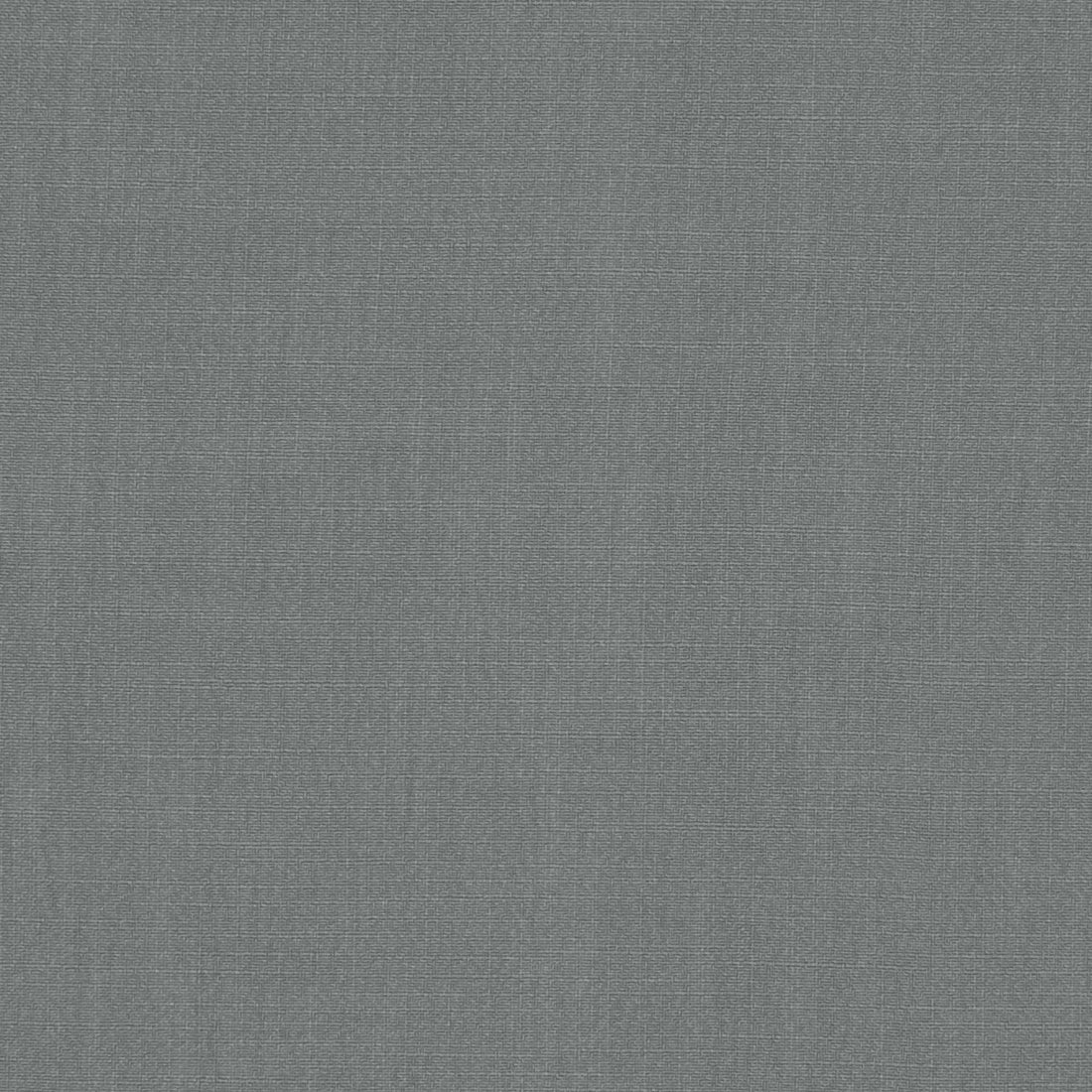 Hudson fabric in steel color - pattern F1076/29.CAC.0 - by Clarke And Clarke in the Clarke &amp; Clarke Hudson collection