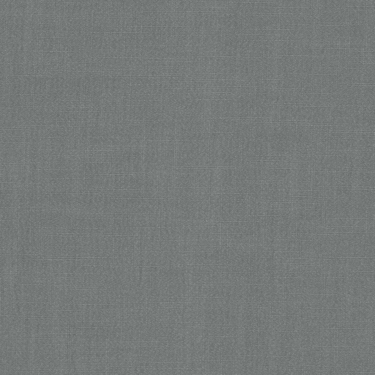 Hudson fabric in steel color - pattern F1076/29.CAC.0 - by Clarke And Clarke in the Clarke & Clarke Hudson collection