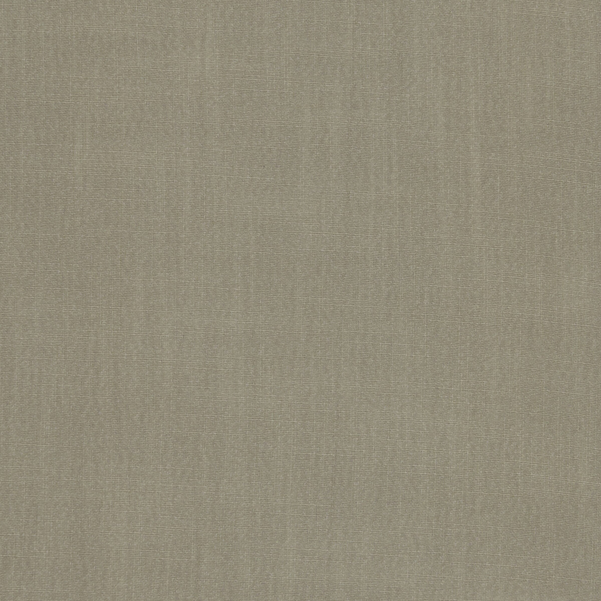 Hudson fabric in taupe color - pattern F1076/31.CAC.0 - by Clarke And Clarke in the Clarke & Clarke Hudson collection