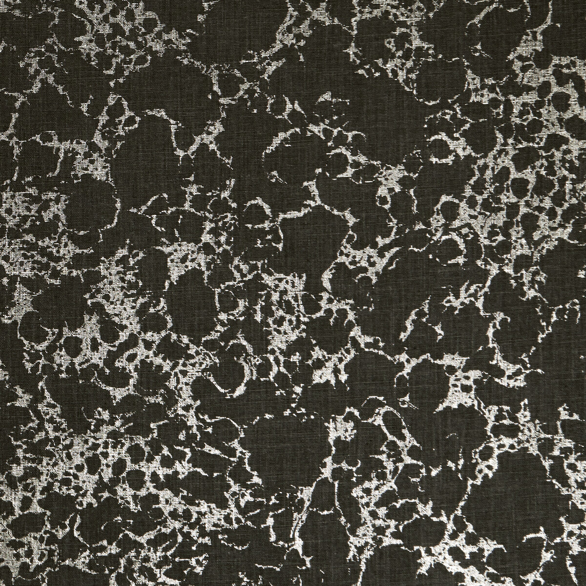 Pietra fabric in charcoal/gold color - pattern F1081/02.CAC.0 - by Clarke And Clarke in the Clarke & Clarke Botanica collection