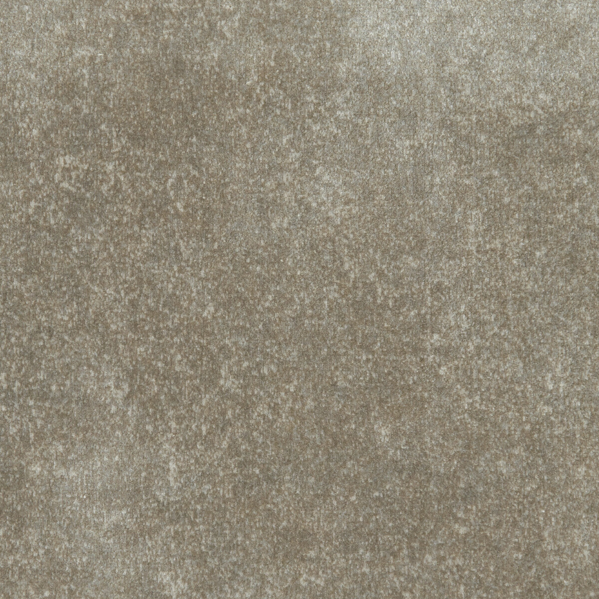 Stucco fabric in taupe color - pattern F1085/08.CAC.0 - by Clarke And Clarke in the Clarke & Clarke Manhattan collection
