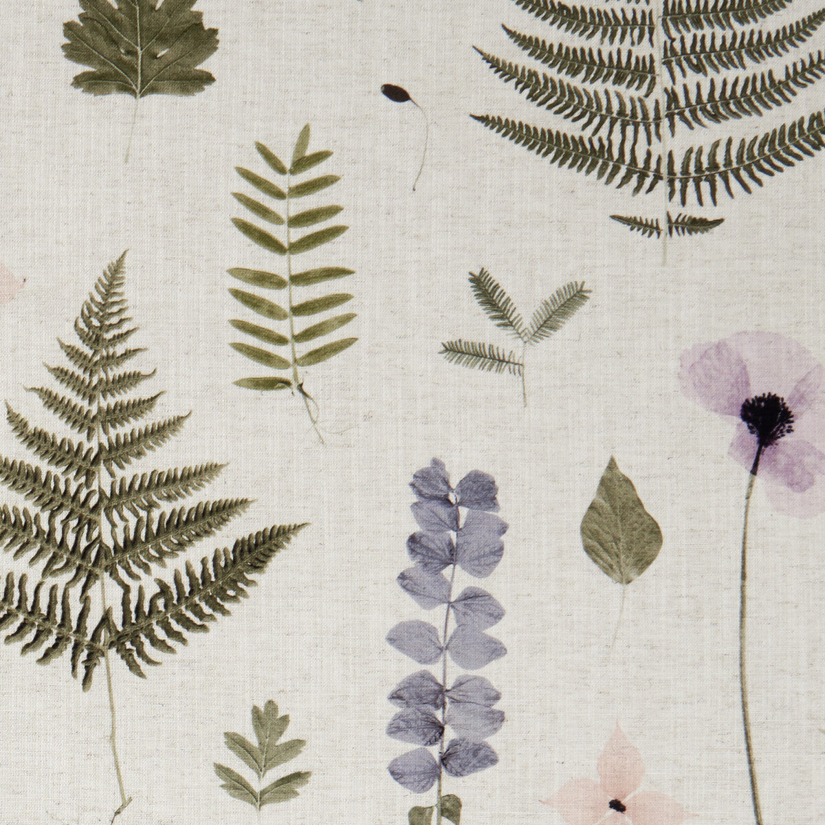 Herbarium fabric in blush/natural color - pattern F1089/01.CAC.0 - by Clarke And Clarke in the Clarke & Clarke Botanica collection