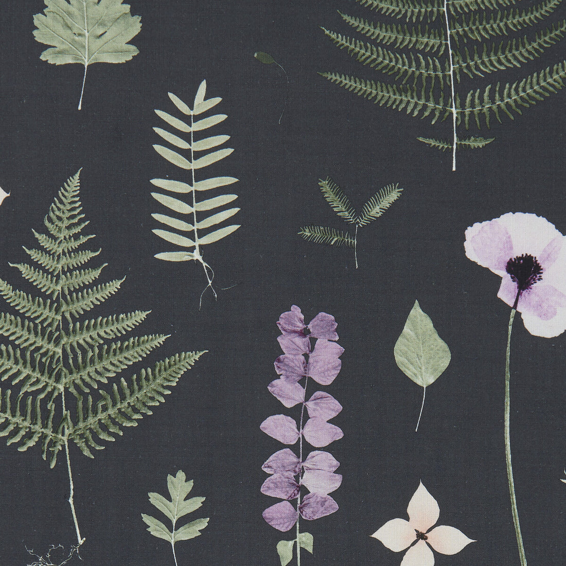 Herbarium fabric in heather/ebony color - pattern F1089/03.CAC.0 - by Clarke And Clarke in the Clarke &amp; Clarke Botanica collection