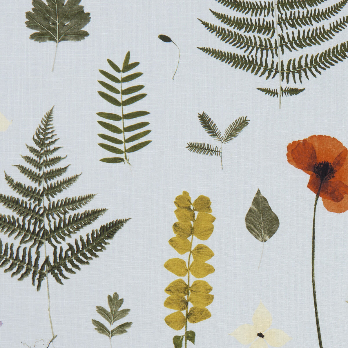 Herbarium fabric in mineral color - pattern F1089/04.CAC.0 - by Clarke And Clarke in the Clarke & Clarke Botanica collection