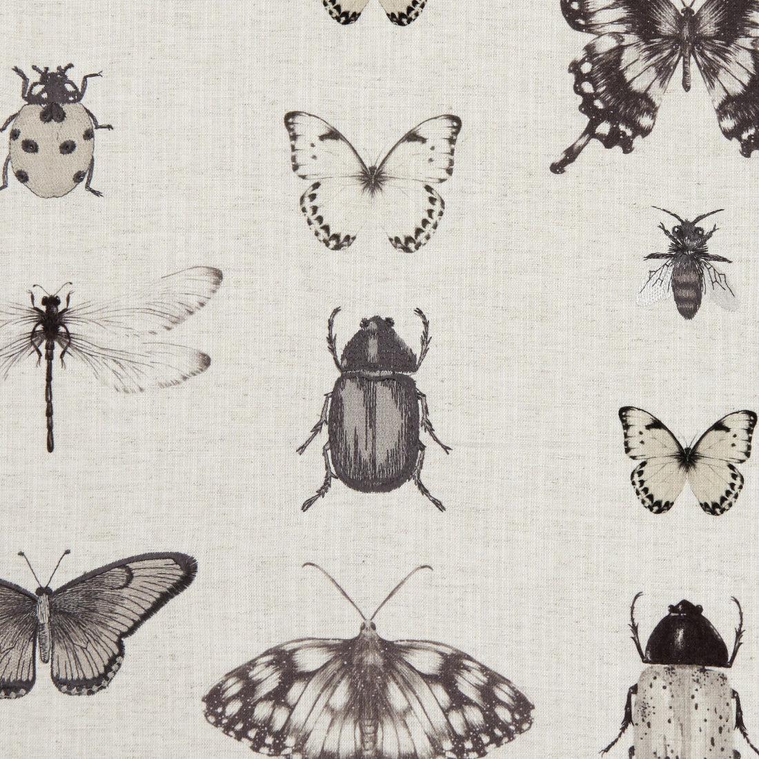 Papilio fabric in charcoal/linen color - pattern F1093/02.CAC.0 - by Clarke And Clarke in the Clarke &amp; Clarke Botanica collection