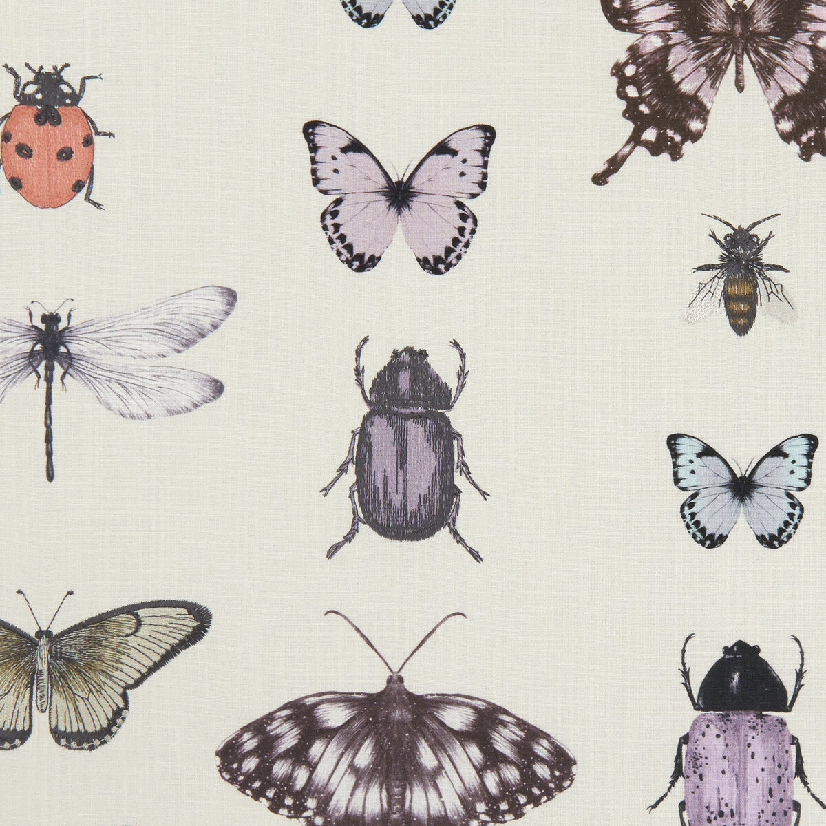 Papilio fabric in heather/ivory color - pattern F1093/03.CAC.0 - by Clarke And Clarke in the Clarke & Clarke Botanica collection