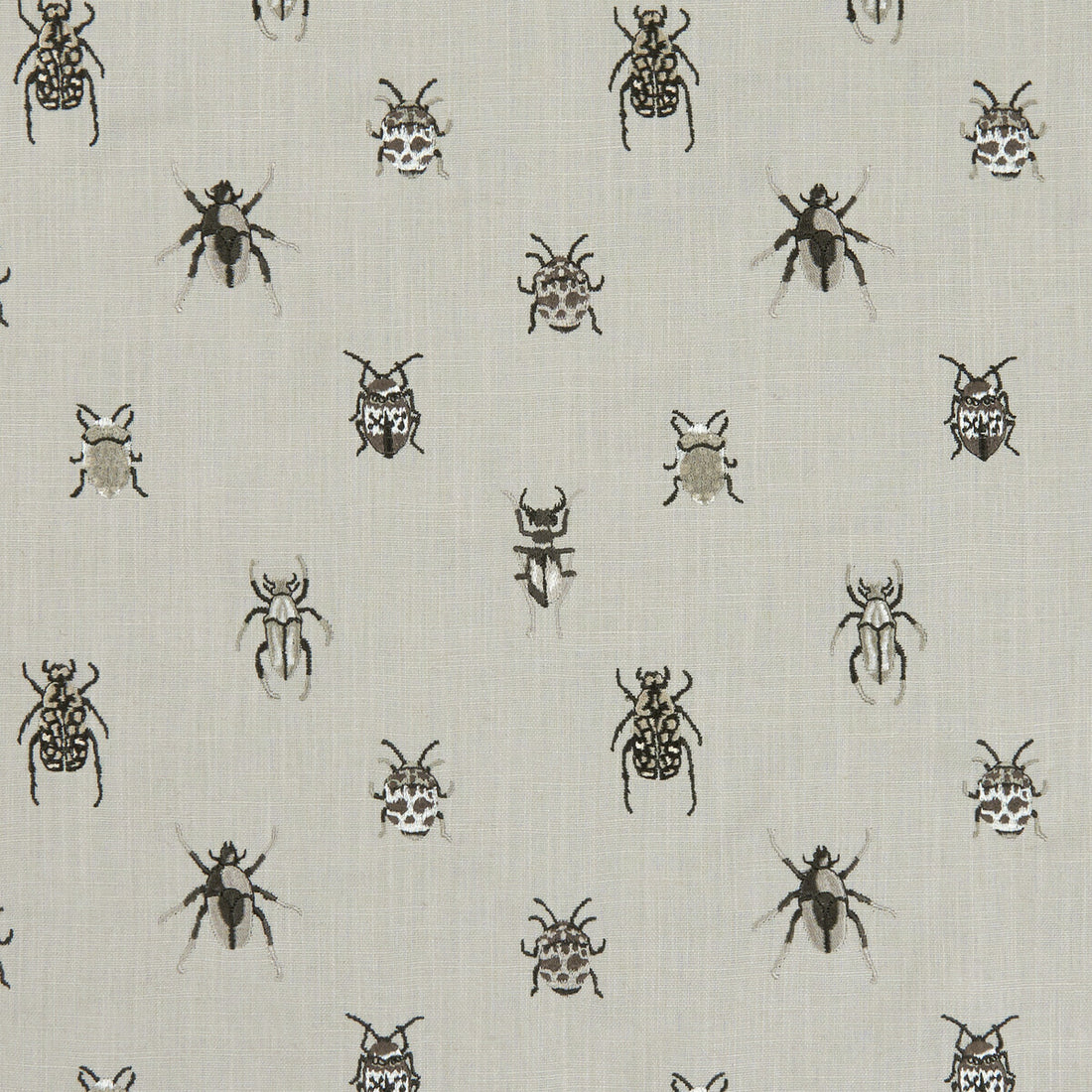 Beetle fabric in charcoal/natural color - pattern F1095/01.CAC.0 - by Clarke And Clarke in the Clarke &amp; Clarke Botanica collection