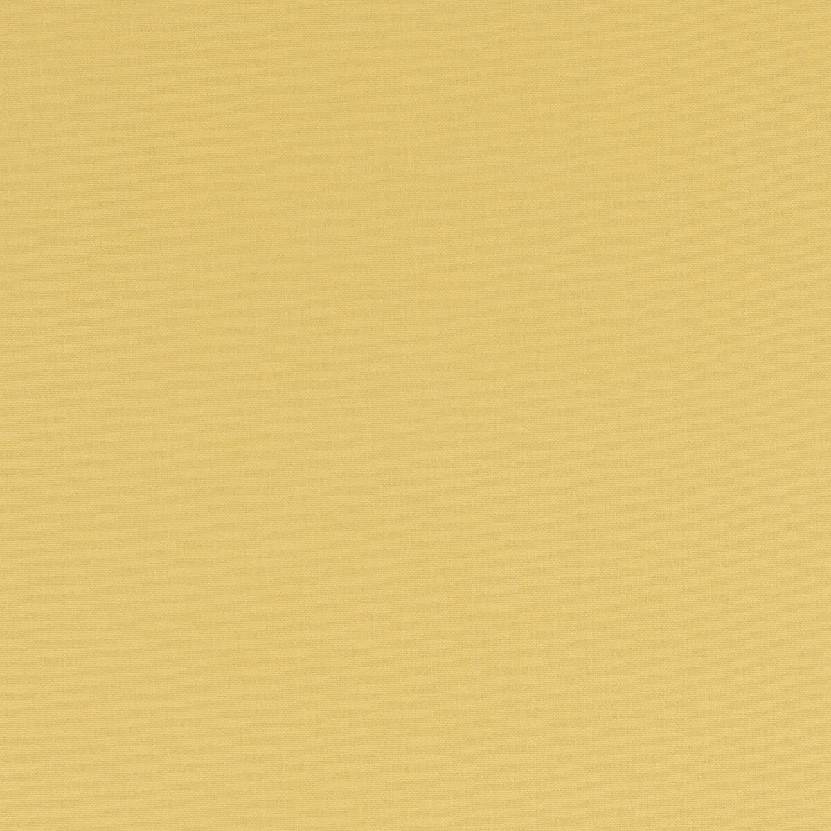 Alora fabric in buttercup color - pattern F1097/04.CAC.0 - by Clarke And Clarke in the Alora By Studio G For C&C collection